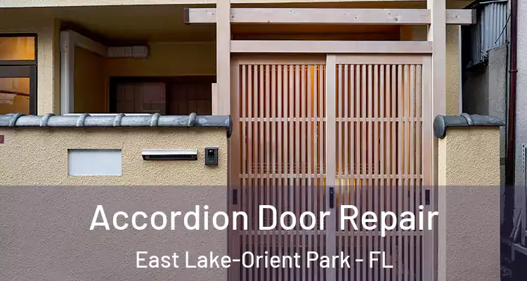  Accordion Door Repair East Lake-Orient Park - FL