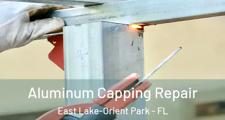  Aluminum Capping Repair East Lake-Orient Park - FL