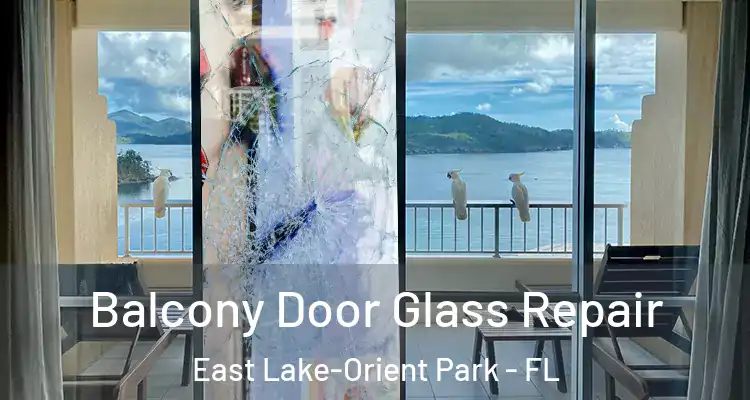  Balcony Door Glass Repair East Lake-Orient Park - FL
