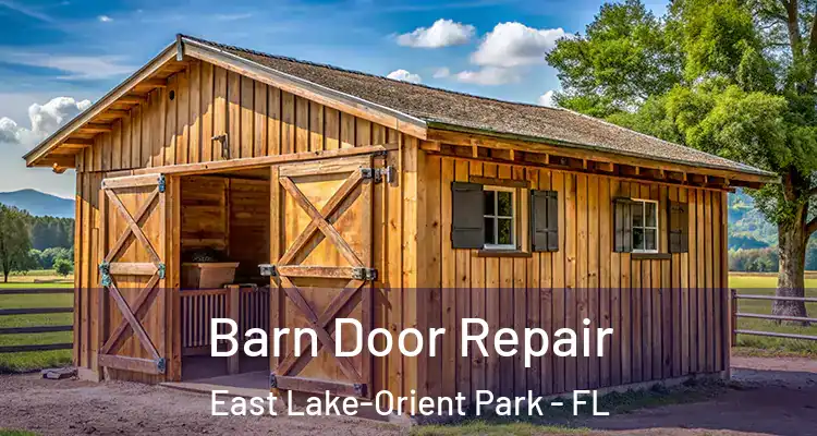  Barn Door Repair East Lake-Orient Park - FL