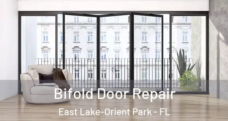  Bifold Door Repair East Lake-Orient Park - FL
