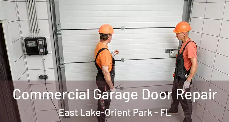  Commercial Garage Door Repair East Lake-Orient Park - FL