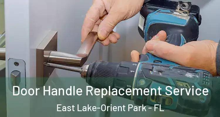  Door Handle Replacement Service East Lake-Orient Park - FL