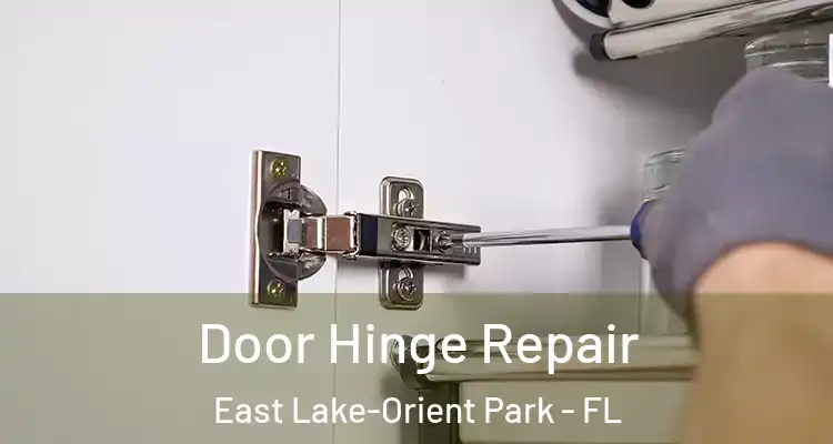 Door Hinge Repair East Lake-Orient Park - FL
