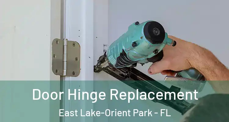  Door Hinge Replacement East Lake-Orient Park - FL