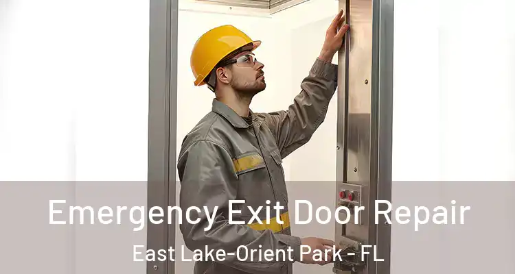  Emergency Exit Door Repair East Lake-Orient Park - FL