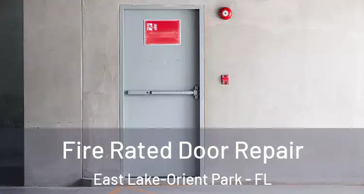  Fire Rated Door Repair East Lake-Orient Park - FL
