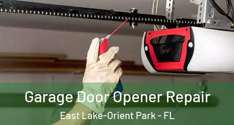  Garage Door Opener Repair East Lake-Orient Park - FL