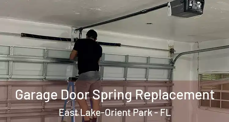  Garage Door Spring Replacement East Lake-Orient Park - FL