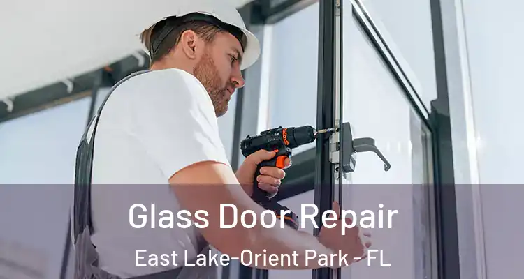  Glass Door Repair East Lake-Orient Park - FL