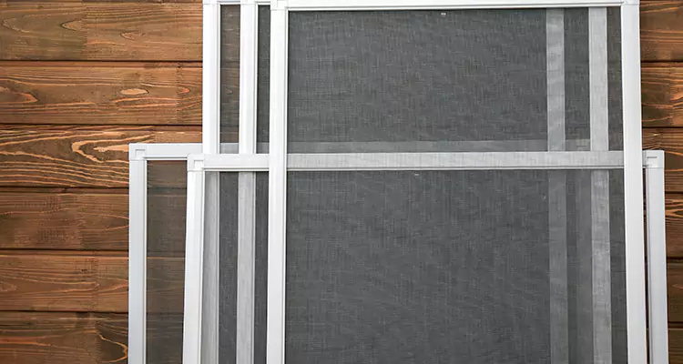 Patio Door Window Frame Repair in East Lake-Orient Park, FL