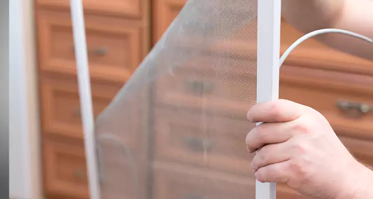 Privacy Mesh Screen Door Installation in East Lake-Orient Park, FL