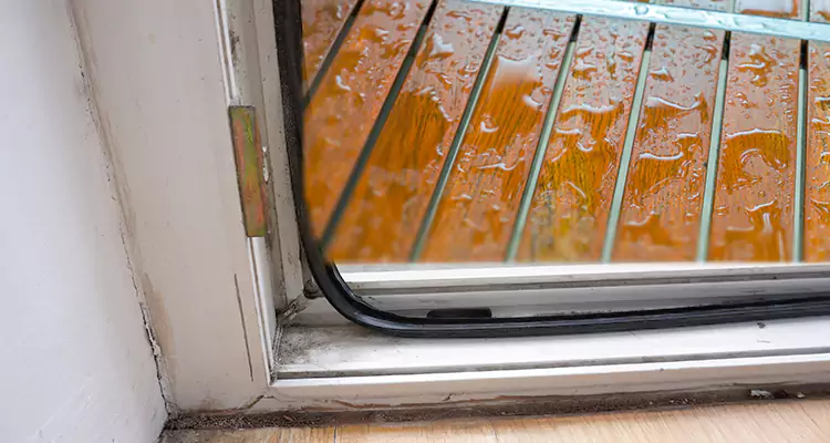 Water Leaking Wooden Patio Doors Repair in East Lake-Orient Park, FL