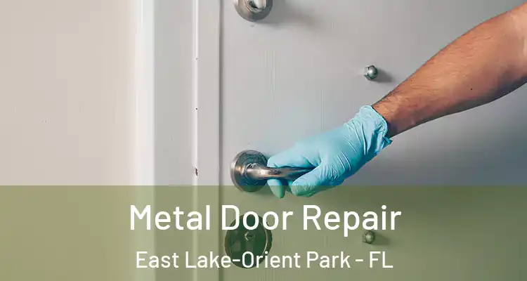  Metal Door Repair East Lake-Orient Park - FL