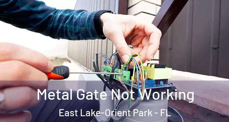  Metal Gate Not Working East Lake-Orient Park - FL