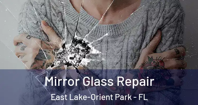  Mirror Glass Repair East Lake-Orient Park - FL