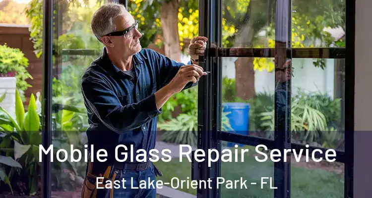  Mobile Glass Repair Service East Lake-Orient Park - FL