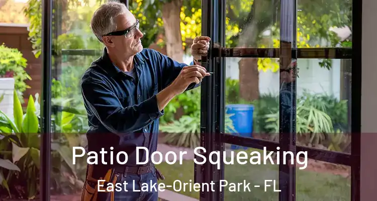  Patio Door Squeaking East Lake-Orient Park - FL