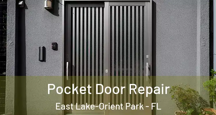  Pocket Door Repair East Lake-Orient Park - FL