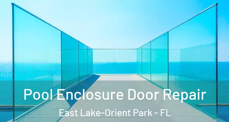  Pool Enclosure Door Repair East Lake-Orient Park - FL