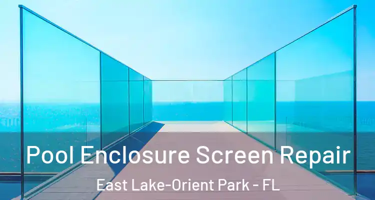  Pool Enclosure Screen Repair East Lake-Orient Park - FL