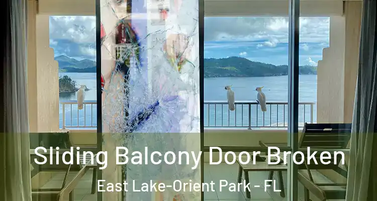  Sliding Balcony Door Broken East Lake-Orient Park - FL