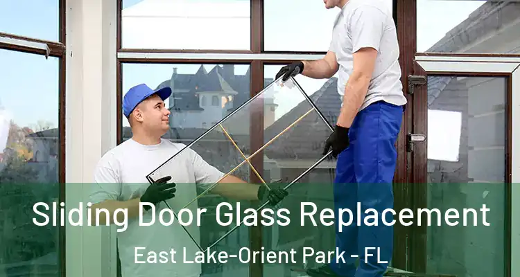  Sliding Door Glass Replacement East Lake-Orient Park - FL