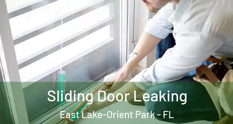  Sliding Door Leaking East Lake-Orient Park - FL