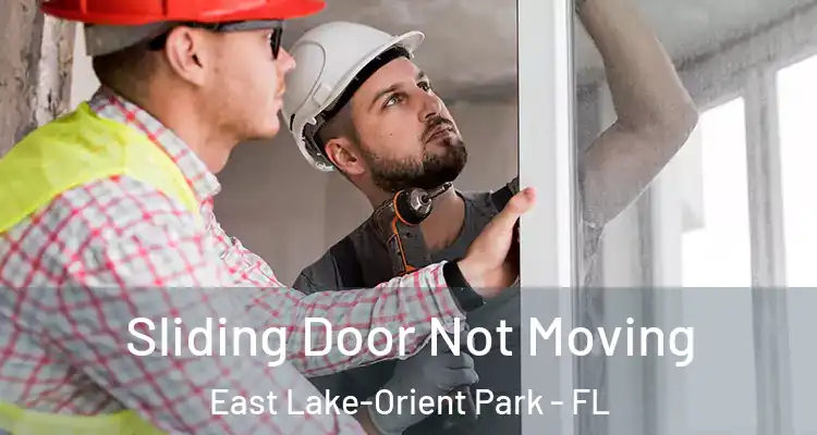  Sliding Door Not Moving East Lake-Orient Park - FL