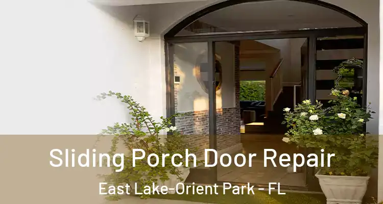  Sliding Porch Door Repair East Lake-Orient Park - FL