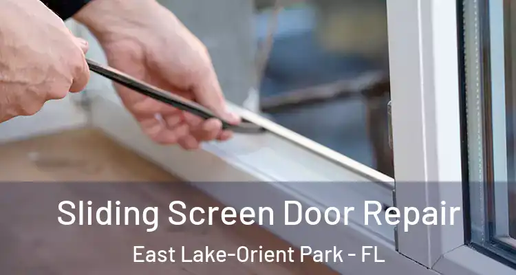  Sliding Screen Door Repair East Lake-Orient Park - FL