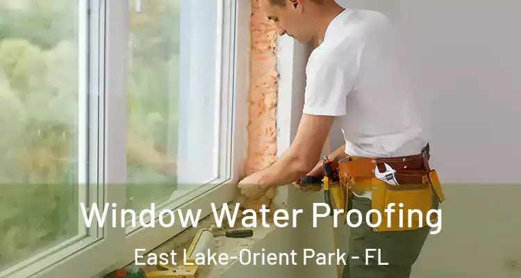  Window Water Proofing East Lake-Orient Park - FL