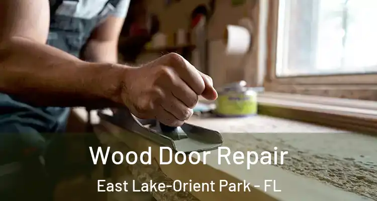  Wood Door Repair East Lake-Orient Park - FL